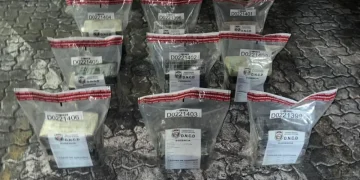 Investigación en curso por incautación de cocaína en Puerto Caucedo