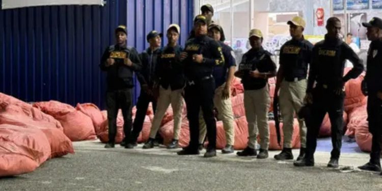 Decomisan más de 61,000 productos Totto falsos