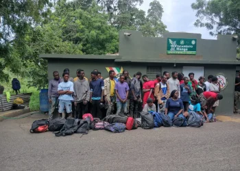 Ejército detiene a 56 haitianos en operativo en Guayubín, Montecristi