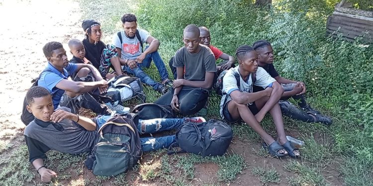 Ejército detiene 10 haitianos irregulares en operativo en Santiago Rodríguez