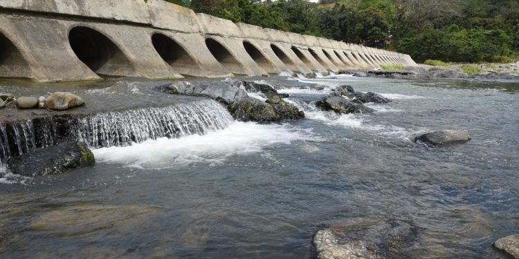 CAASD informa servicio de agua estará parcialmente limitado en Pedro Brand por reparación de avería