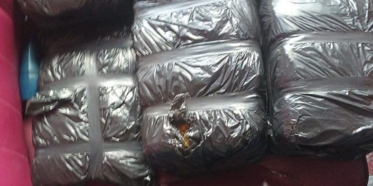 Decomisan ocho pacas de presunta marihuana en operativo conjunto en Azua