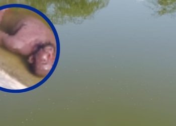 Encuentran sin vida haitiano en estanque de agua en Los Grajos de Neyba