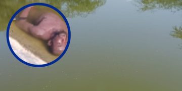 Encuentran sin vida haitiano en estanque de agua en Los Grajos de Neyba