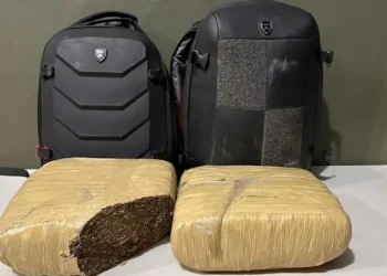 Ejército ocupa alrededor 19 libras de presunta marihuana abandonadas por indocumentados en Dajabón