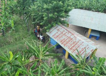 Detienen indocumentados que se ocultaban en plantaciones en Mao