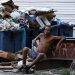 Cuba enfrenta una crisis social sin precedentes: el 89% de su población vive en la pobreza extrema