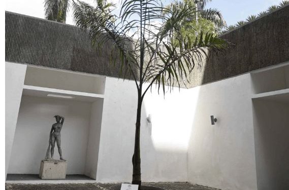 Jurados de la 31 Bienal Nacional de Artes Visuales defienden validez del premio a la obra “Lo que no se saca de raíz, vuelve a crecer”