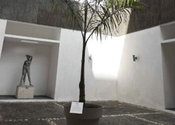 Jurados de la 31 Bienal Nacional de Artes Visuales defienden validez del premio a la obra “Lo que no se saca de raíz, vuelve a crecer”