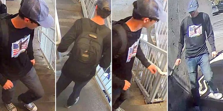 Donald Trump anunció que hay un detenido por el asesinato de Charlie Kirk