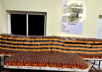 Ejército ocupa contrabando de 6,000 unidades de ron de en operativo en Elías Piña
