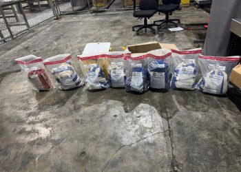 Cocaína “enrollada” en hamacas: DNCD frustra envío internacional