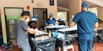 Alcaldía del DN esteriliza a 100 perros y gatos en parque Mirador Sur en jornada de bienestar animal