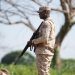 Ministerio de Defensa informa apresamiento y repatriación de dos ciudadanos haitianos en Dajabón