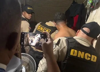 DNCD: En agosto se incautaron más de 1 millón 400 mil gramos de distintos estupefacientes