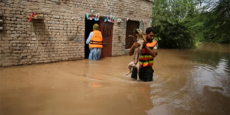 Atrapados entre el diluvio y el miedo, un pueblo fronterizo de Pakistán se niega a evacuar