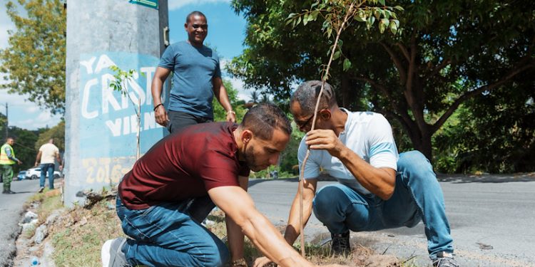 Colaboración verde: ADN y Fundación Renacer plantan 150 árboles