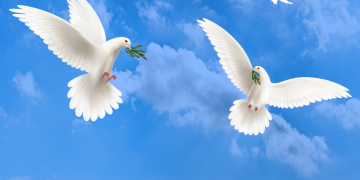 21 de septiembre: Día Internacional de la Paz