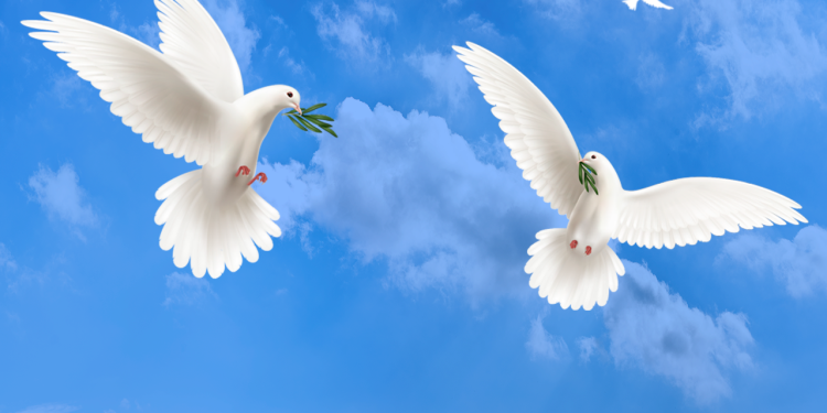 21 de septiembre: Día Internacional de la Paz