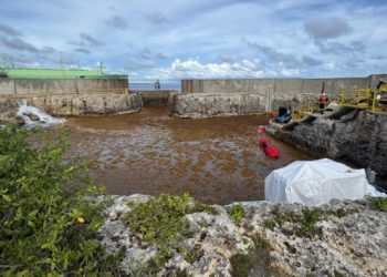 Sargazo obliga a la salida temporal de la planta AES Andrés en Boca Chica