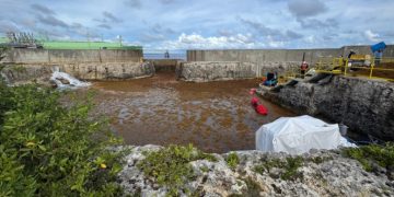 Sargazo obliga a la salida temporal de la planta AES Andrés en Boca Chica