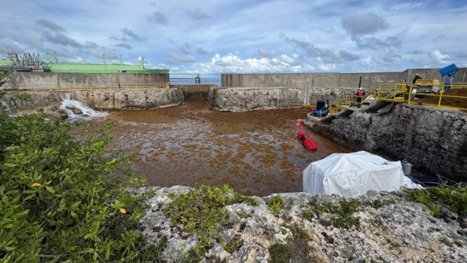 Sargazo obliga a la salida temporal de la planta AES Andrés en Boca Chica