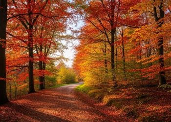 Inicia el otoño, pero el calor seguirá por otras cinco semanas más