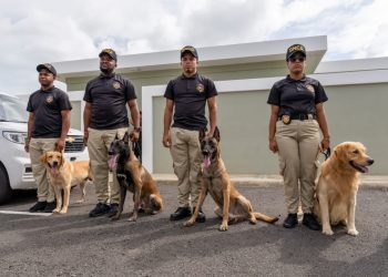 DNCD recibe moderna residencia canina k9 y unidades especializadas