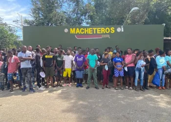 Ejército detiene a 82 nacionales haitianos en operativos en la zona noroeste