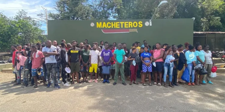 Ejército detiene a 82 nacionales haitianos en operativos en la zona noroeste