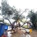 Cerca de 50.000 personas están sin luz en Jamaica por el huracán Melissa