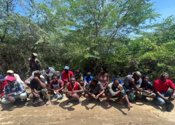 Ejército detecta con drones 22 extranjeros que se ocultaban en bosques de Palo Verde