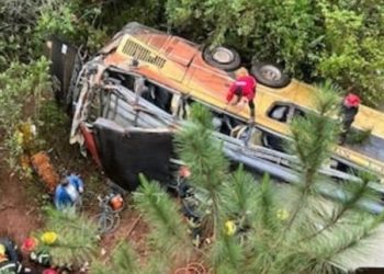 Al menos 8 muertos y 29 heridos al precipitarse ómnibus por puente en Argentina