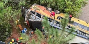 Al menos 8 muertos y 29 heridos al precipitarse ómnibus por puente en Argentina