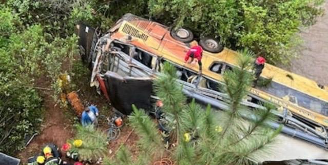 Al menos 8 muertos y 29 heridos al precipitarse ómnibus por puente en Argentina