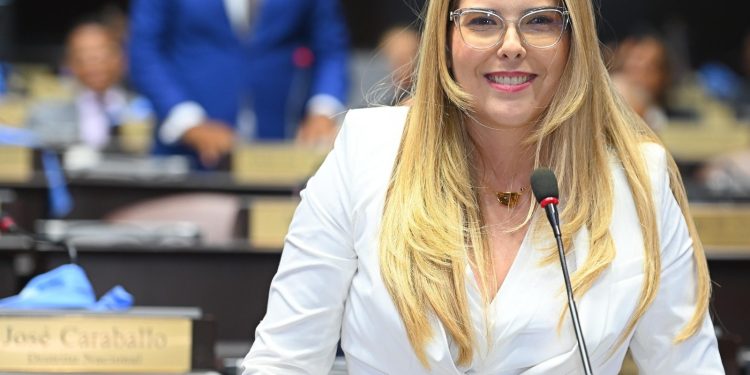 Diputada: “La cesantía no se elimina, se moderniza para fortalecer el tejido productivo nacional”