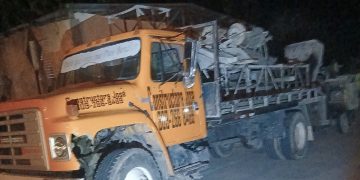 Ocultos en una mezcladora de cemento Ejército detiene haitianos indocumentados en Elías Piña