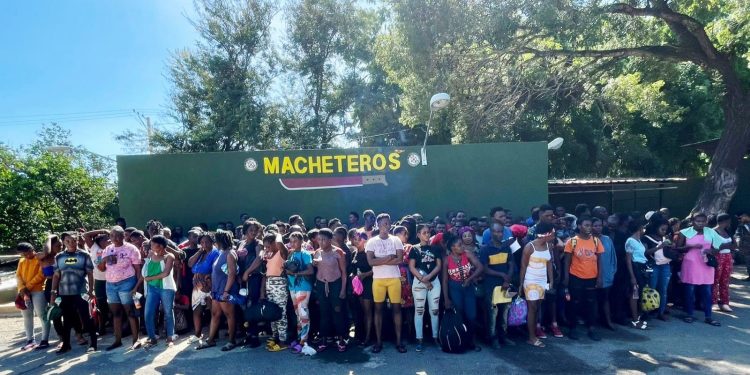 Ejército detiene a más de un centenar de haitianos indocumentados durante operativos en la Línea Noroeste