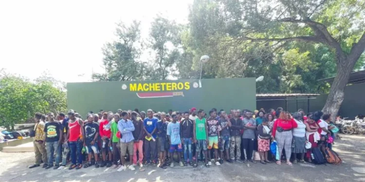Ejército detiene a 125 haitianos indocumentados durante operativos en Valverde
