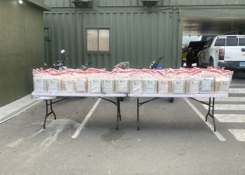 Incautan 572 libras de presunta marihuana en Baní ocultas en parte trasera de camión