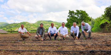 INTABACO inicia Cosecha Tabacalera 2025-2026 con siembra de más de 160 mil tareas