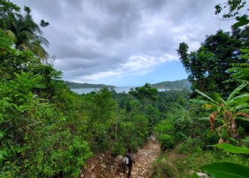 Melissa es muestra de la crisis climática: en el Corredor Biológico en el Caribe el Proyecto CCR les hace frente a estos eventos en beneficio de los comunitarios
