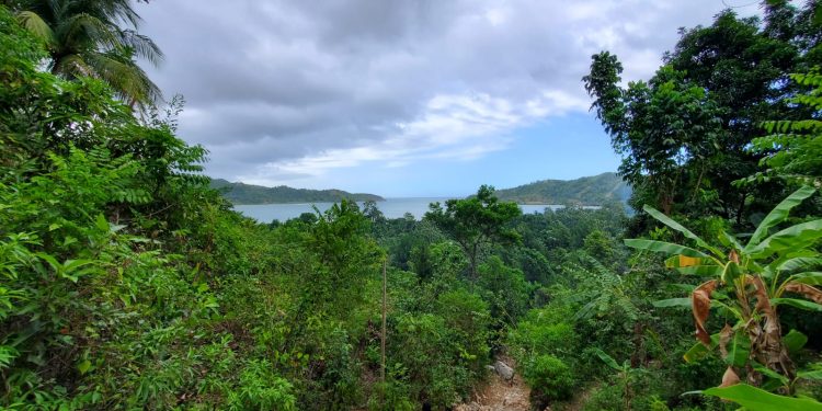 Melissa es muestra de la crisis climática: en el Corredor Biológico en el Caribe el Proyecto CCR les hace frente a estos eventos en beneficio de los comunitarios