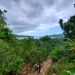 Melissa es muestra de la crisis climática: en el Corredor Biológico en el Caribe el Proyecto CCR les hace frente a estos eventos en beneficio de los comunitarios