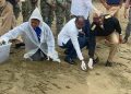 Armada RD en coordinación con acuario nacional liberan tortugas marinas en santuario de Sans Souci
