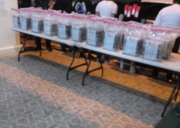 Ejército Dominicano decomisa 150 paquetes de presunta cocaína en operativo en el Puesto de Chequeo del 15 de Azua