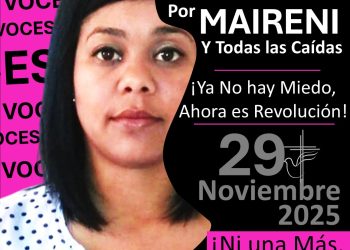 Gran Caminata 3 Millones de Voces por MAIRENI y Todas las Caídas