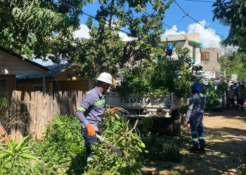 EDENORTE restablece en tiempo récord el servicio eléctrico tras violento tornado en Mao