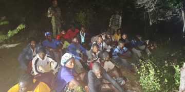 Ejército detiene a más de 13 mil haitianos indocumentados durante operativos realizados durante el mes de octubre