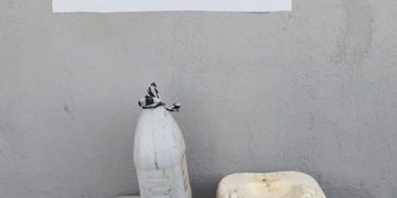 Policía y Ministerio Público arrestan por separado a dos personas por posesión ilegal de arma de fuego y ron adulterado en Barahona